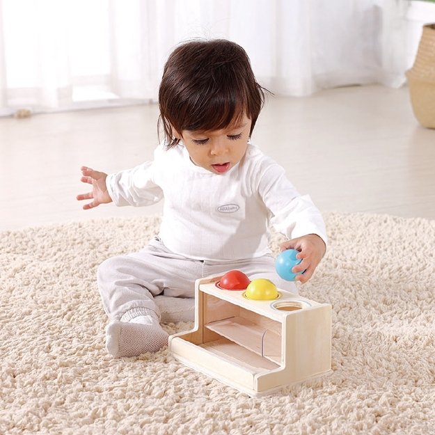 Lavinamoji Montessori dėžutė 5in1, 11-12 mėn, Tooky Toy