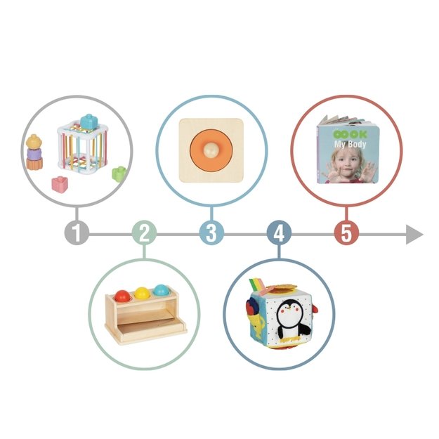 Lavinamoji Montessori dėžutė 5in1, 11-12 mėn, Tooky Toy