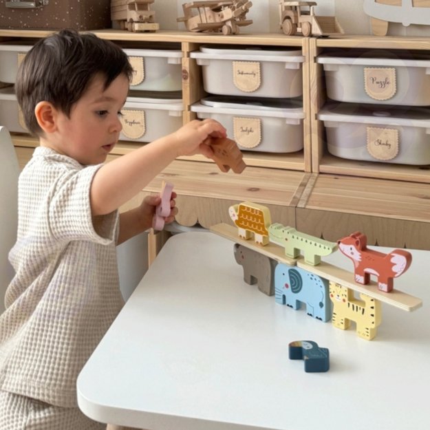 Medinė Montessori gyvūnų dėlionė 9 el., TOOKY TOY