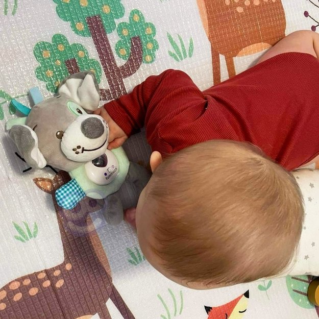 Interaktyvus minkštas žaislas migdukas - Šuniukas su šviesos ir garso efektais, Cuddly Toy iš Woopie