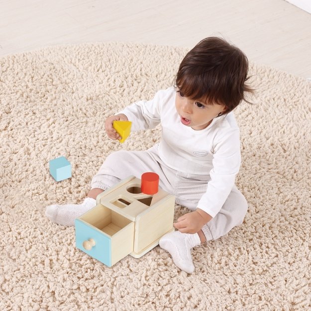 Lavinamoji Montessori dėžutė 6in1, 13-15 mėn, Tooky Toy