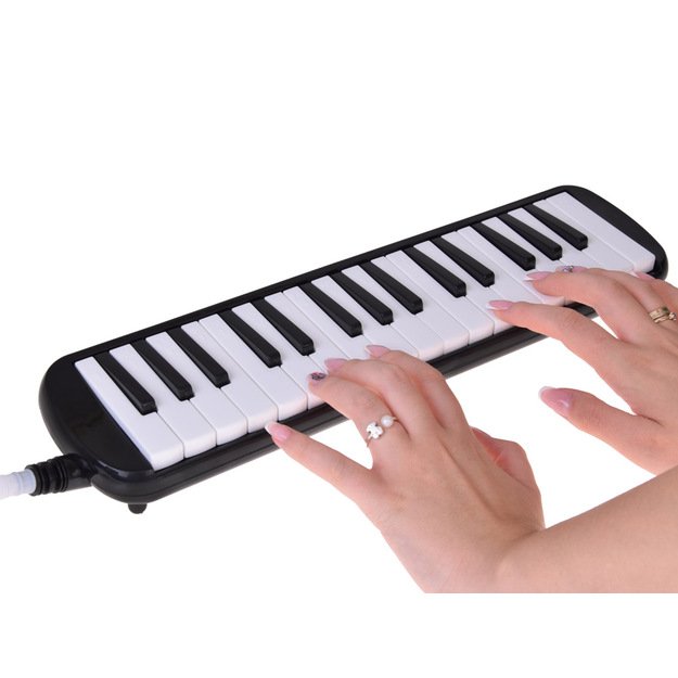 Muzikos instrumentas „Klavišinė armonika“ su dviem kandikliais