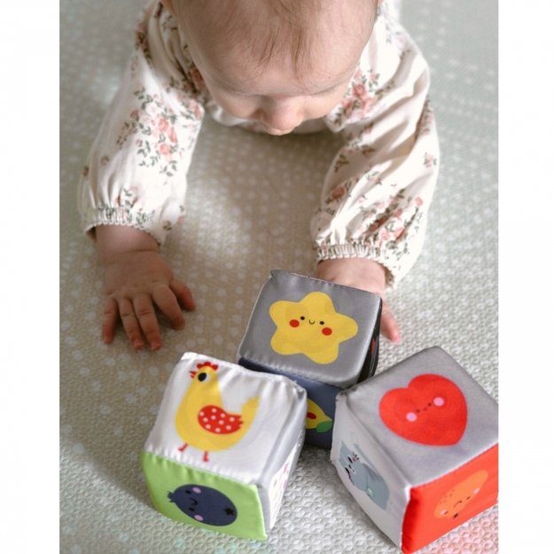 Lavinamoji Montessori dėžutė 6in1, 3-4 mėn, Tooky Toy