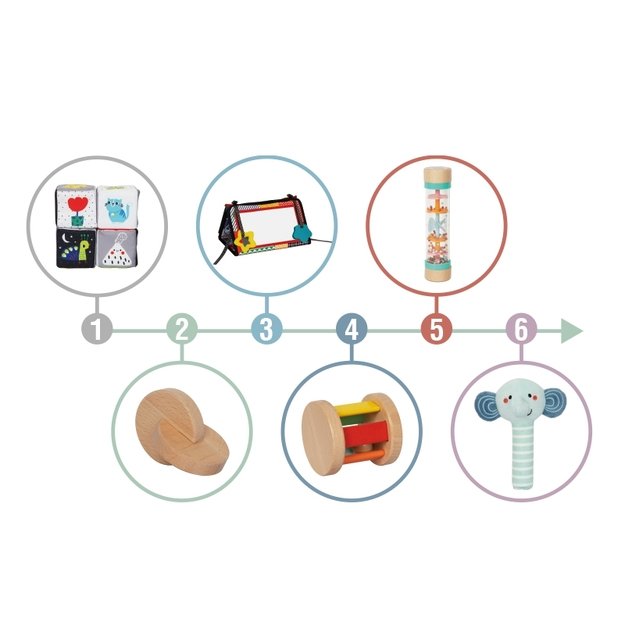 Lavinamoji Montessori dėžutė 6in1, 3-4 mėn, Tooky Toy