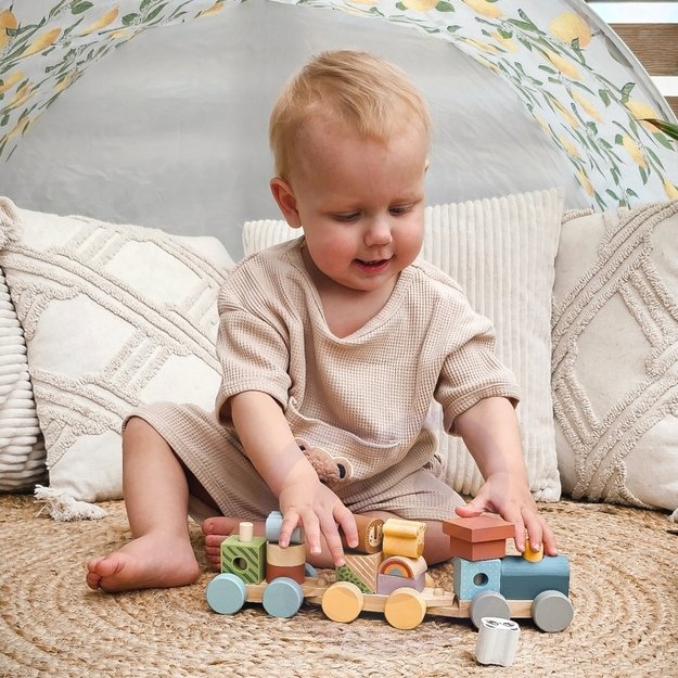 Medinis Montessori traukinukas su gyvūnais, TOOKY TOY