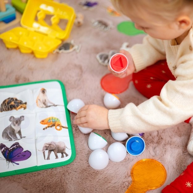 Lavinamoji Montessori dėžutė 7in1, 25-30 mėn, Tooky Toy