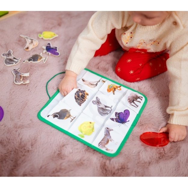 Lavinamoji Montessori dėžutė 7in1, 25-30 mėn, Tooky Toy