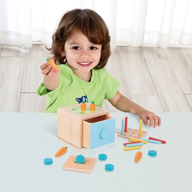 Lavinamoji Montessori dėžutė 7in1, 16-18 mėn, Tooky Toy