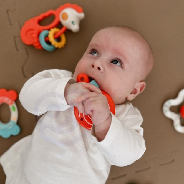 Sensorinių kramtukų ir barškučių rinkinys, WOOPIE BABY