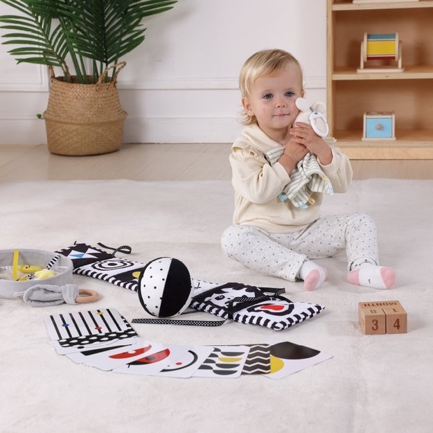 Lavinamoji Montessori dėžutė 7in1, 0-2 mėn, Tooky Toy