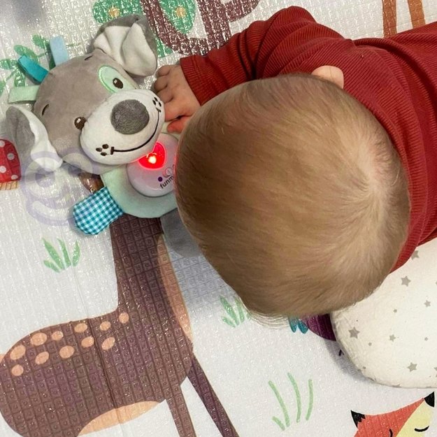 Interaktyvus minkštas žaislas migdukas - Šuniukas su šviesos ir garso efektais, Cuddly Toy iš Woopie