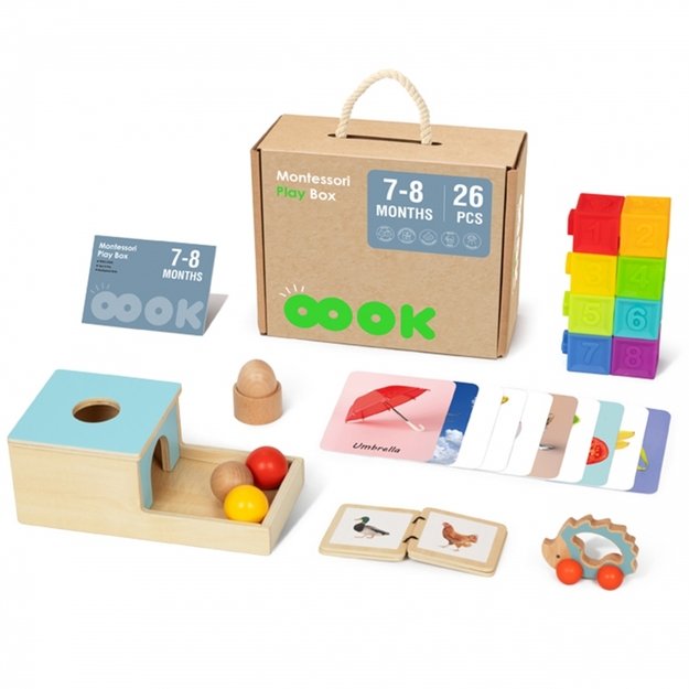 Lavinamoji Montessori dėžutė 6in1, 7-8 mėn, Tooky Toy