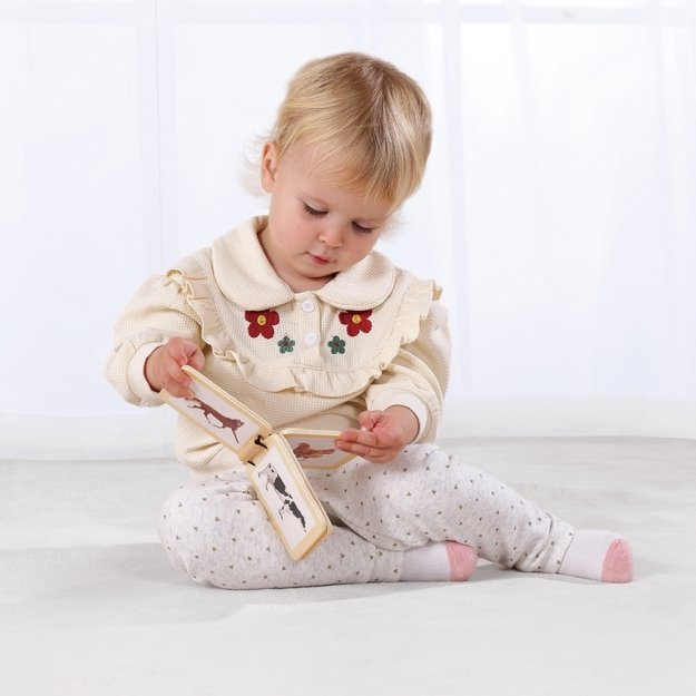 Lavinamoji Montessori dėžutė 6in1, 7-8 mėn, Tooky Toy